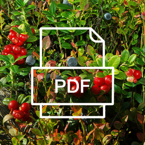 Ätliga växter är en omfattande sammanställning i form av en PDF på 14 A4 sidor med information om vilka vilda och odlade ätliga växter det finns.